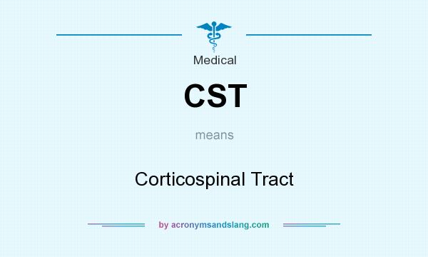 What does CST mean? It stands for Corticospinal Tract