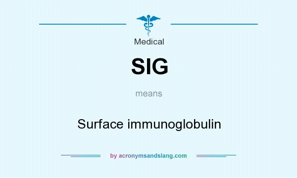 What does SIG mean? It stands for Surface immunoglobulin