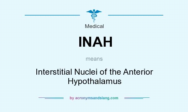 What does INAH mean? It stands for Interstitial Nuclei of the Anterior Hypothalamus