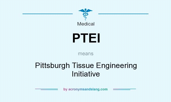 What does PTEI mean? It stands for Pittsburgh Tissue Engineering Initiative