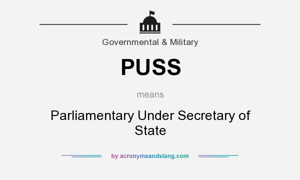 What does PUSS mean? It stands for Parliamentary Under Secretary of State