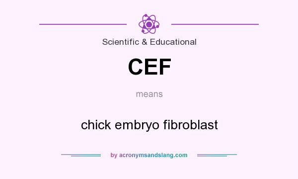 What does CEF mean? It stands for chick embryo fibroblast