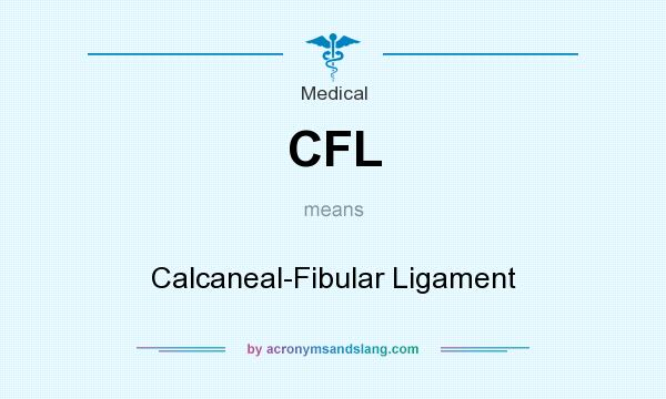 What does CFL mean? It stands for Calcaneal-Fibular Ligament