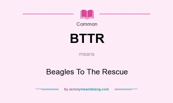 What does BTTR mean? It stands for Beagles To The Rescue