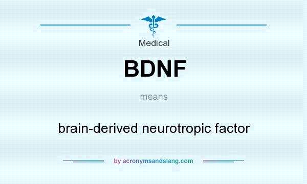 What does BDNF mean? It stands for brain-derived neurotropic factor