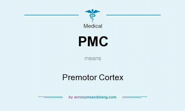 What does PMC mean? It stands for Premotor Cortex