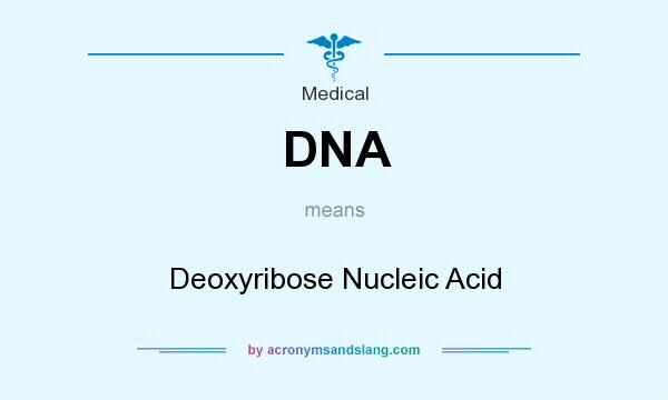 What does DNA mean? It stands for Deoxyribose Nucleic Acid