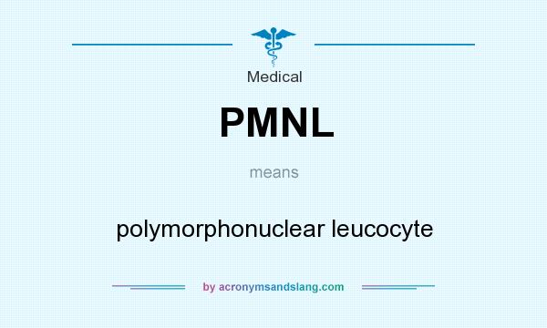 What does PMNL mean? It stands for polymorphonuclear leucocyte