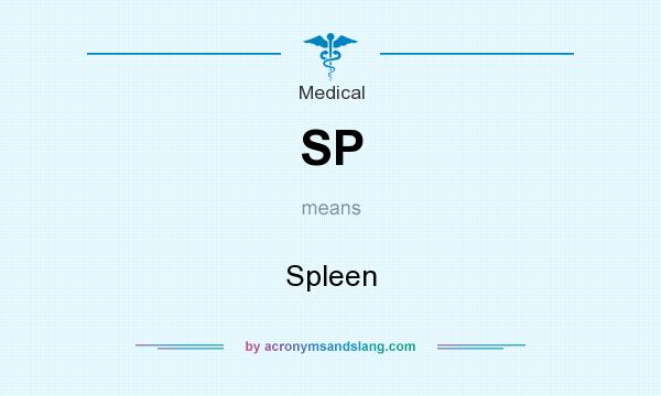 What does SP mean? It stands for Spleen