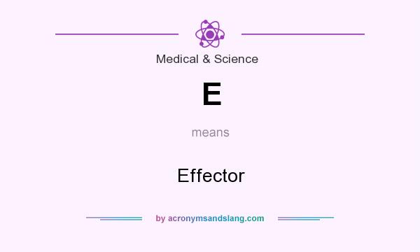What does E mean? It stands for Effector