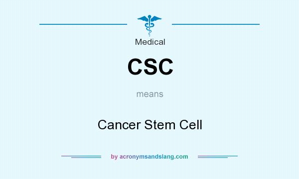 What does CSC mean? It stands for Cancer Stem Cell
