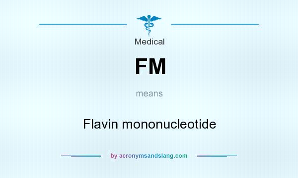 What does FM mean? It stands for Flavin mononucleotide