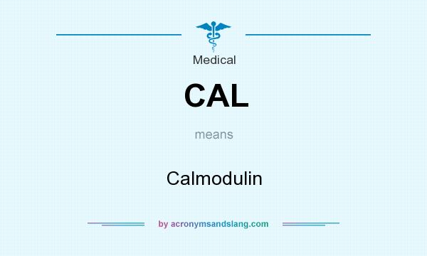 What does CAL mean? It stands for Calmodulin