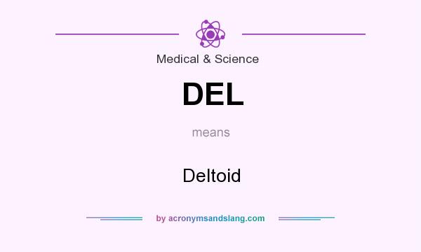 What does DEL mean? It stands for Deltoid