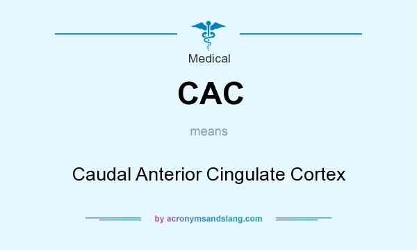 What does CAC mean? It stands for Caudal Anterior Cingulate Cortex