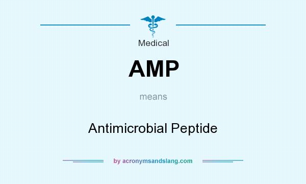 What does AMP mean? It stands for Antimicrobial Peptide