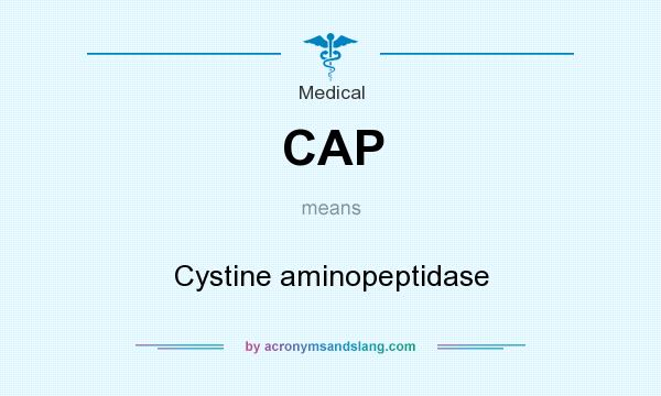 What does CAP mean? It stands for Cystine aminopeptidase