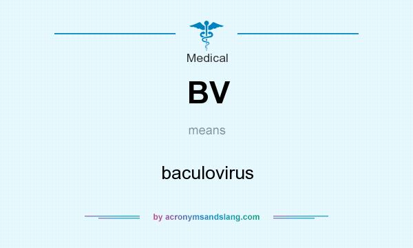 What does BV mean? It stands for baculovirus