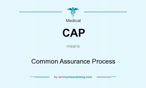 What does CAP mean? It stands for Common Assurance Process