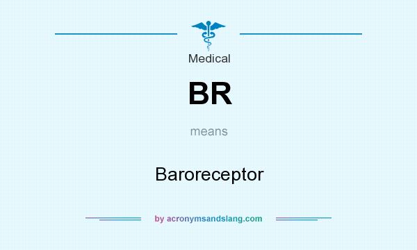 What does BR mean? It stands for Baroreceptor