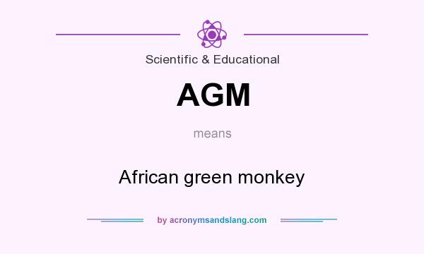 What does AGM mean? It stands for African green monkey