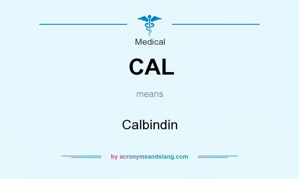 What does CAL mean? It stands for Calbindin