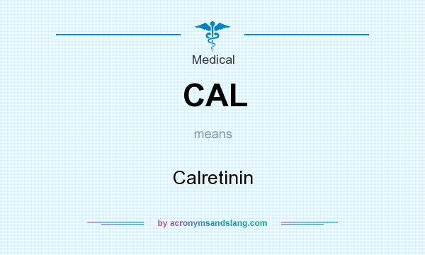 What does CAL mean? It stands for Calretinin