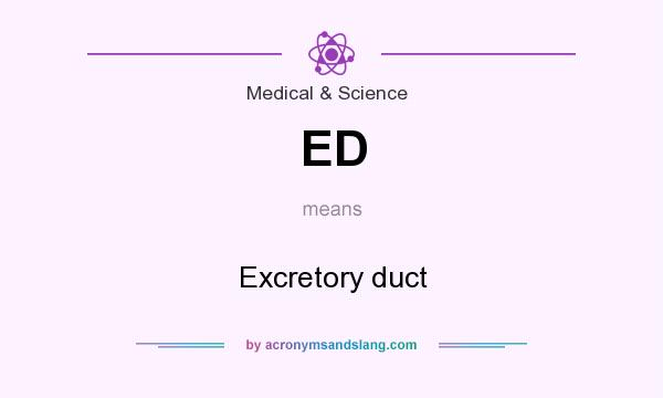 What does ED mean? It stands for Excretory duct