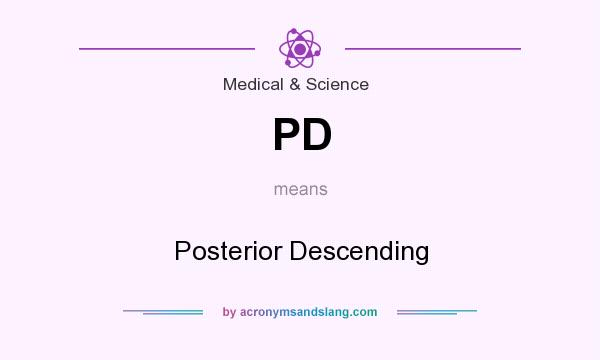 What does PD mean? It stands for Posterior Descending