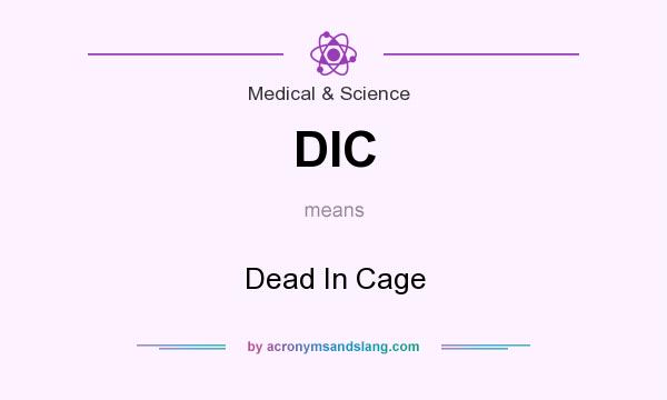 What does DIC mean? It stands for Dead In Cage