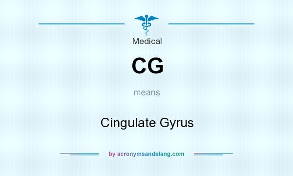What does CG mean? It stands for Cingulate Gyrus