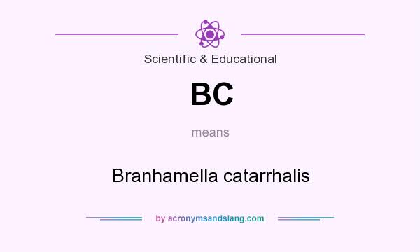 What does BC mean? It stands for Branhamella catarrhalis