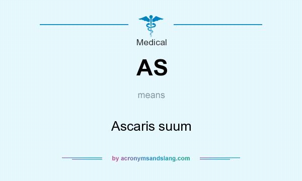 What does AS mean? It stands for Ascaris suum