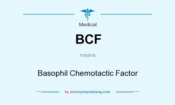 What does BCF mean? It stands for Basophil Chemotactic Factor