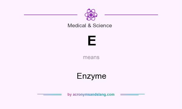 What does E mean? It stands for Enzyme