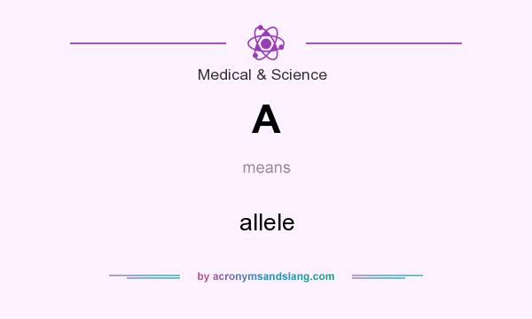 What does A mean? It stands for allele