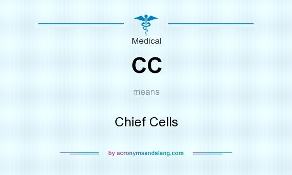 What does CC mean? It stands for Chief Cells
