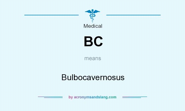 What does BC mean? It stands for Bulbocavernosus