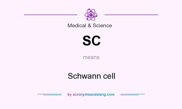 What does SC mean? It stands for Schwann cell
