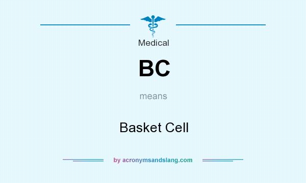 What does BC mean? It stands for Basket Cell