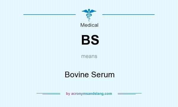 What does BS mean? It stands for Bovine Serum