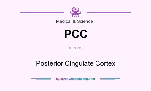 What does PCC mean? It stands for Posterior Cingulate Cortex