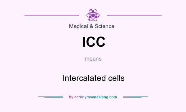What does ICC mean? It stands for Intercalated cells