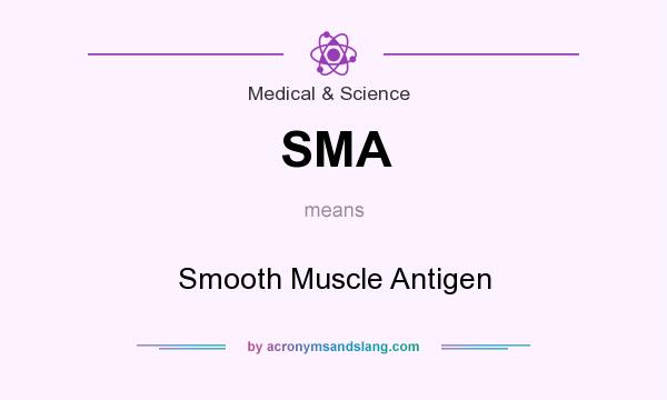 What does SMA mean? It stands for Smooth Muscle Antigen