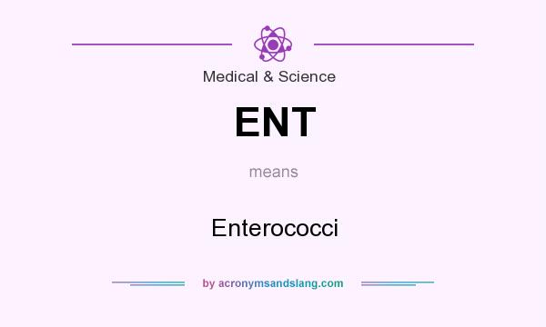What does ENT mean? It stands for Enterococci