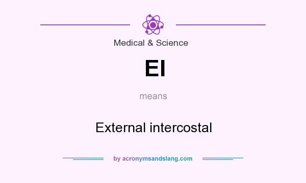 What does EI mean? It stands for External intercostal