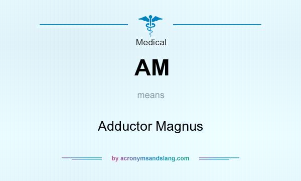 What does AM mean? It stands for Adductor Magnus
