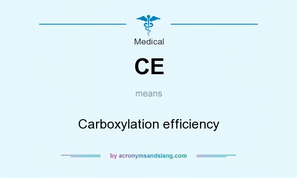 What does CE mean? It stands for Carboxylation efficiency
