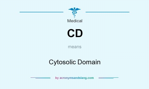 What does CD mean? It stands for Cytosolic Domain