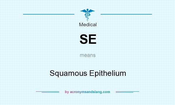 What does SE mean? It stands for Squamous Epithelium